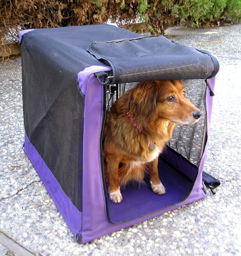 Dog Soft Crate
