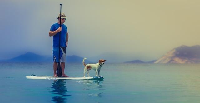 Fun Water Activities for You and Your Dog